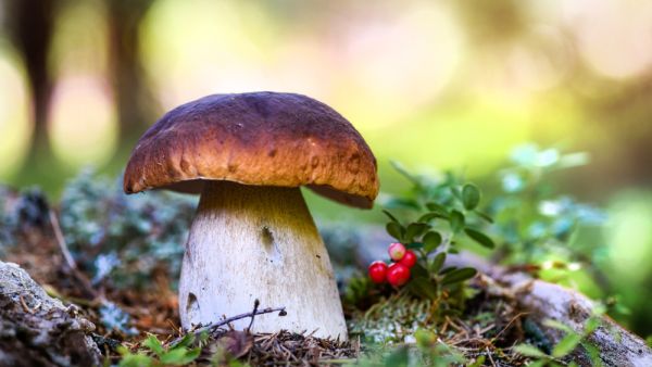 (Shutterstock/ File Photo)