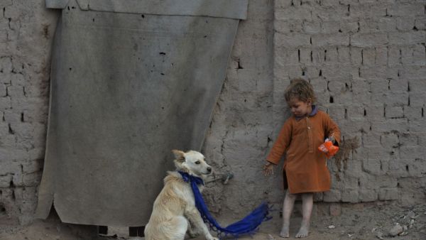 In this photograph taken on February 3, 2020, a child stands next to a dog outside his temporary house on the outskirts of Jalalabad. NOORULLAH SHIRZADA / AFP
