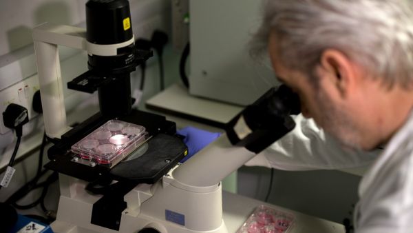 Doctor Paul McKay, who is working on an vaccine for the 2019-nCoV strain of the novel coronavirus, Covid-19,, poses for a photograph using a microscope to look at bacteria containing coronavirus, Covid-19, DNA fragments, in a research lab at Imperial College School of Medicine (ICSM) in London on February 10, 2020. A team of UK scientists believe they are one of the first to start animal testing of a vaccine for the new coronavirus that has killed more than 1,000 people and spread around the world. Tolga AK