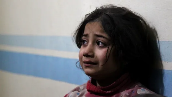 Syria (AFP)