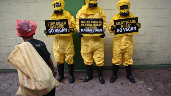 Members of People for the Ethical Treatment of Animals (PETA) wearing biohazard suits display placards with slogans during a protest in front of the department of health on February 13, 2020, amidst the COVID-19 coronavirus scare which has infected thousands of people in China. Ted ALJIBE / AFP