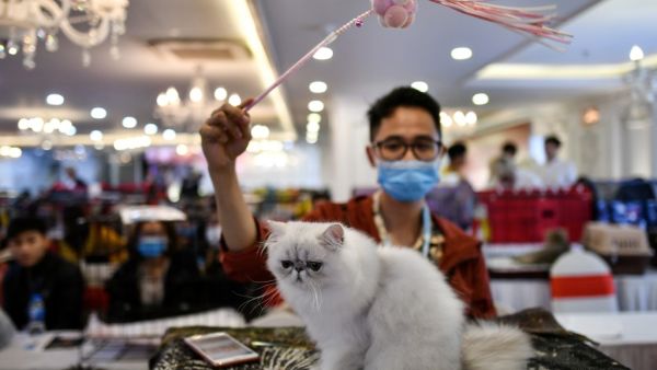 (AFP)