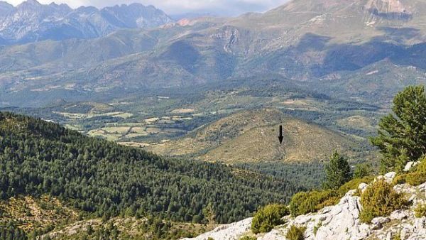 Remains of Neolithic immigrants were brutally executed over territory more than 7,000 years ago (Twitter/Magallon)