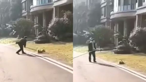 A community officer in Nanchong, China, has been caught on camera brutally killing a stray dog with a wooden club. The horrifying incident took place this morning, insiders revealed. (Video Screenshot)