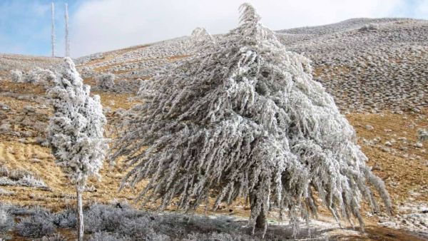 انخفاض قياسي في درجات الحرارة بمنطقة الشرق الأوسط