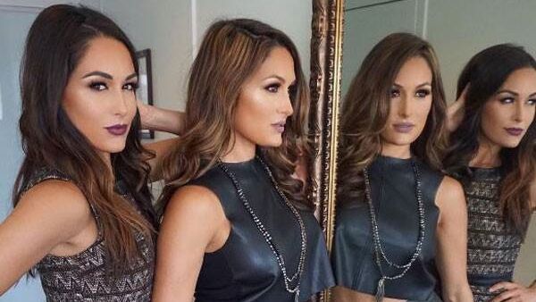 Nikki Bella and Brie Bella. (Instagram)
