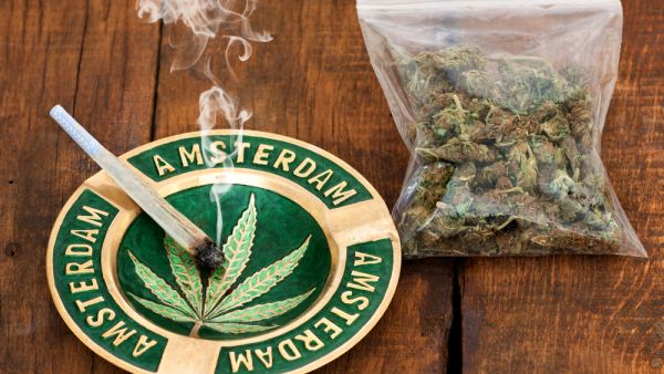 (Shutterstock/ File Photo)