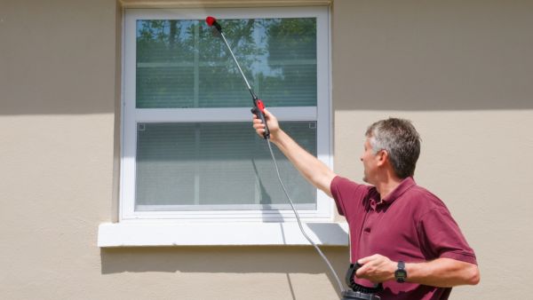 التخلّص من الحشرات عن طريق خليط من بيكربونات الصوديوم والسكّر التخلّص من الحشرات عن طريق خليط من بيكربونات الصوديوم والسكّر