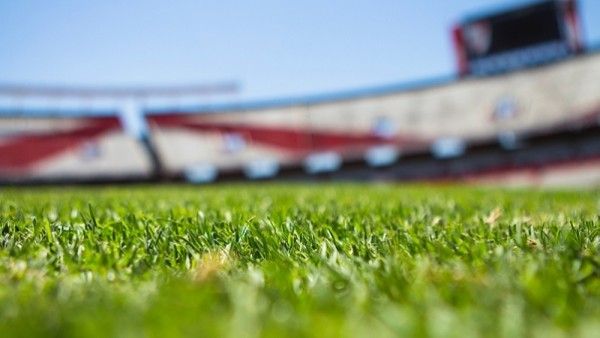 Representative image. Photo: Pexels