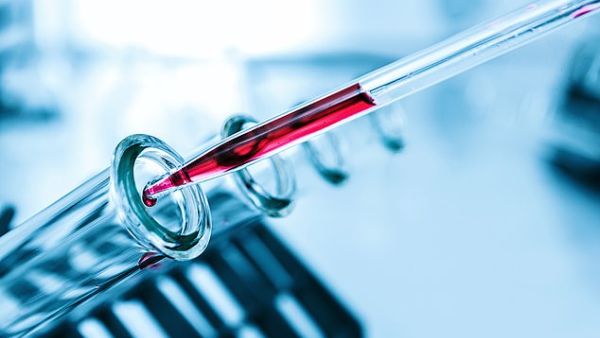 (Shutterstock/ File Photo)