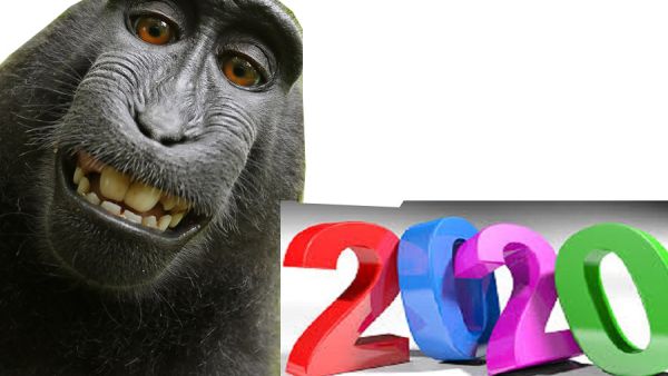 2020 والقرد