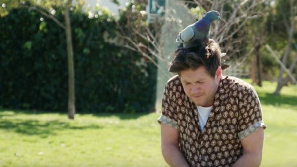  Niall Horan (Twitter)