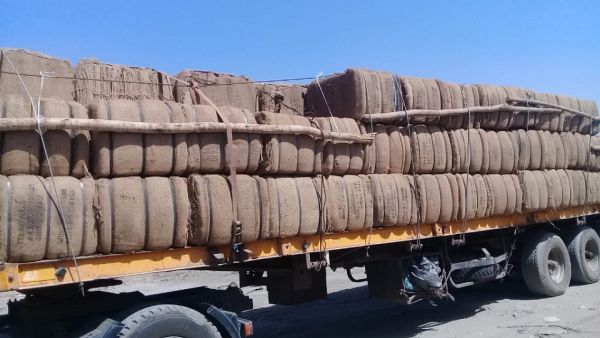 Support includes provision of 9 million agricultural packaging bags