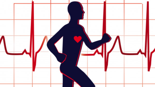 For women, who comprised only 15% of the study population, the occurrence of sudden cardiac death was 3.5-fold less than in men.