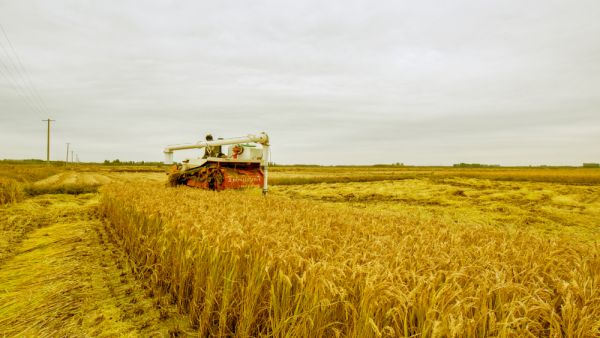 (Shutterstock/ File Photo)