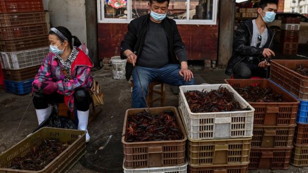 This photo taken on April 15, 2020 shows vendors wearing face masks as they offer prawns for sale at the Wuhan Baishazhou Market in Wuhan in China's central Hubei province. China's "wet" markets have gained a bad international reputation as the coronavirus roiling the world is believed to have been born in stalls selling live game in Wuhan late last year. Hector RETAMAL / AFP