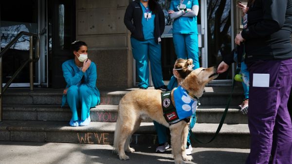 Nurses at Mount Sinai Hospital sit during a break with a therapy dog on April 07, 2020 in New York City. Hospitals in New York City, which has been especially hard hit by the coronavirus, are facing shortages of beds, ventilators and protective equipment for medical staff. Spencer Platt/Getty Images/AFP