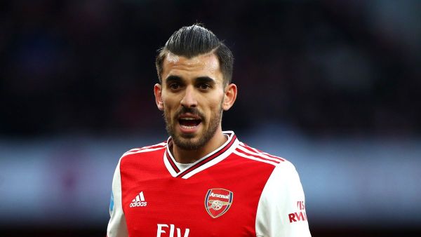 داني سيبايوس