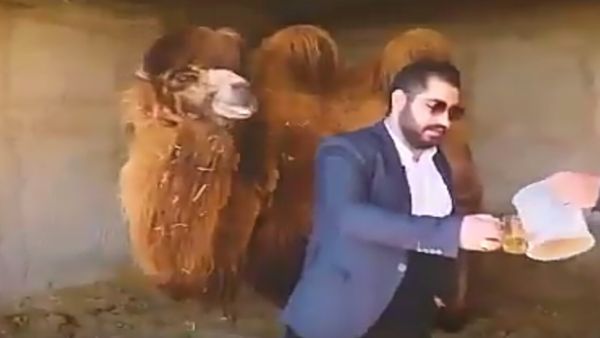 مدير الجمعية العلمية لطب الإمام الصادق "مهدي سبيلي".