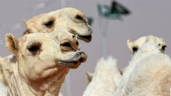 تعبيرية