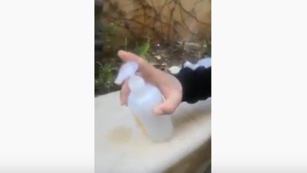 هايجين