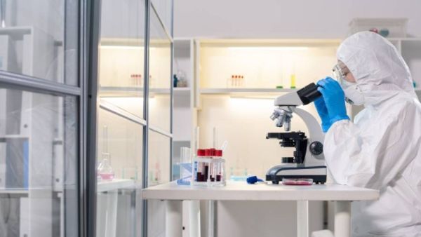  نظرية ألمانية جديدة تدحض نشوء فيروس كورونا في أحد أسواق ووهان الصينية 