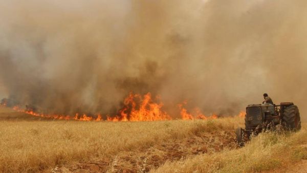 عودة الحرائق لمزارع الحنطة والشعير في عدة مناطق بالعراق