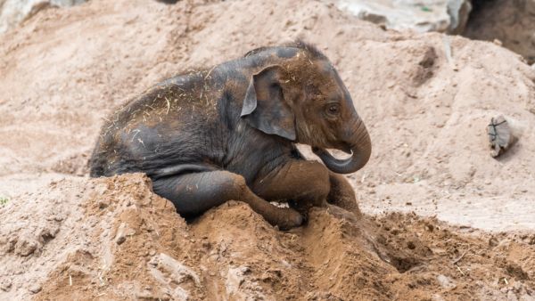 (Shutterstock/ File Photo)