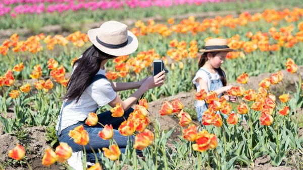 (Shutterstock/ File Photo)