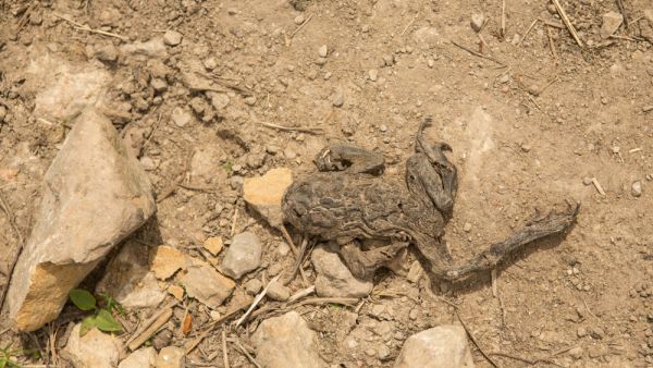 (Shutterstock/ File Photo)