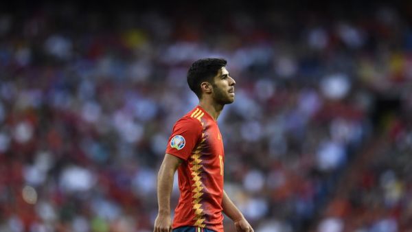 ماركو آسينسيو