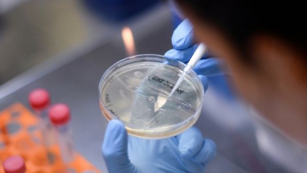 Researchers are testing whether the tuberculosis vaccine could either reduce the risk of being infected by the coronavirus, or limit the severity of the symptoms | © AFP/File | DOUGLAS MAGNO