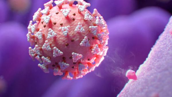 FAQs on the Latest COVID-19 Developments in Layman’s Terms