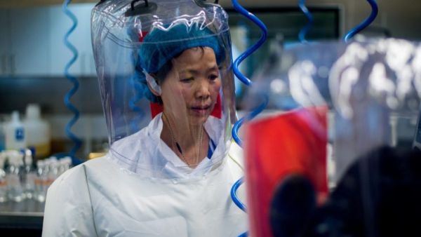 عالمة الفيروسات الصينية شي تشنغ لي