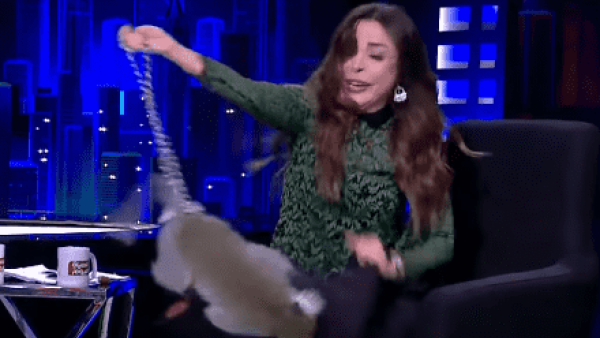 قرد يهجم على مذيعة مصرية خلال عرض البرنامج..والاخيرة تترك الأستديو!