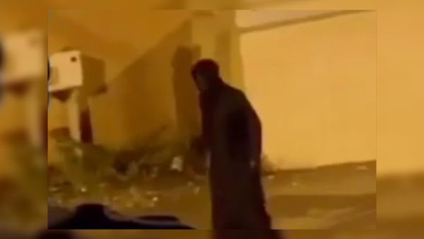 جني الباحة