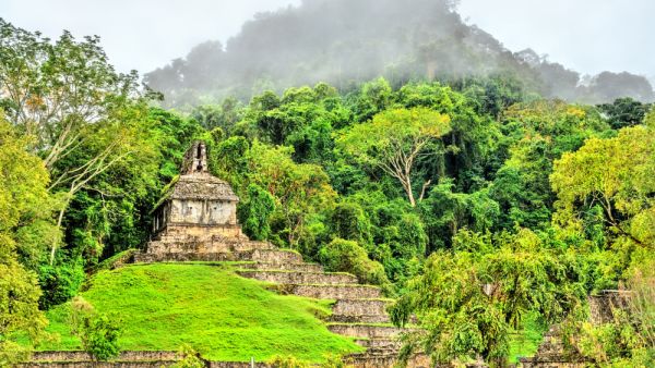 Ruins of Palenque in Chiapas, an ancient Maya city in Mexico  (Shutterstock)	