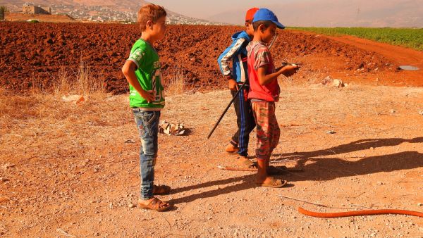 Syrian refugees upon escape from Syria war in Bekaa valley in Lebanon. (Shutterstock/ File Photo)