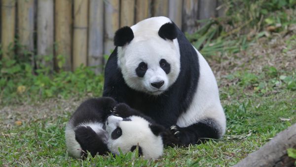 (Shutterstock/ File Photo)