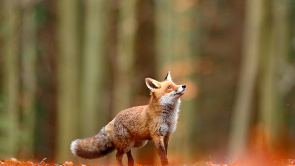 (Shutterstock/ File Photo)