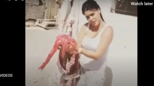 اضحية العيد