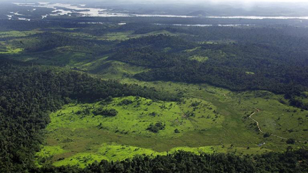 Overview of a deforested area in the border of Xingu River in northern Brazil (AFP photo)