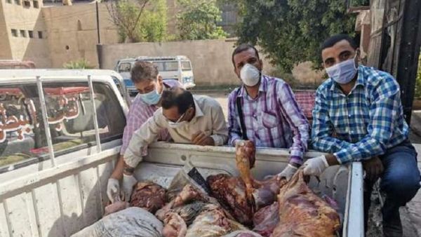 ضبط نصف طن من لحوم الحمير بمنزل جزار في قرية الحواويش