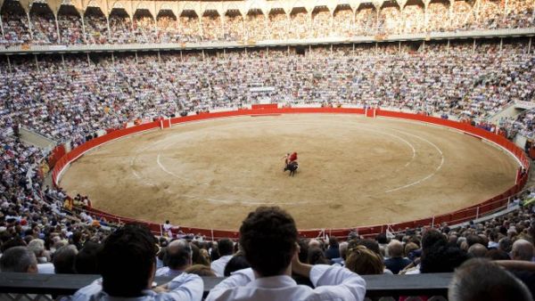 Bullfighting (Twitter)