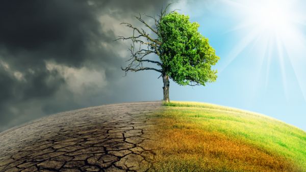 The sixth month of 2020 witnessed numerous environmental disasters. (Shutterstock/ File Photo)