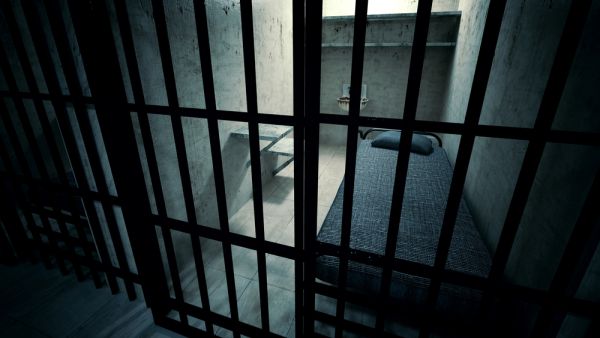 The upgraded cells have more space and access to better food. (Shutterstock/ File Photo) 