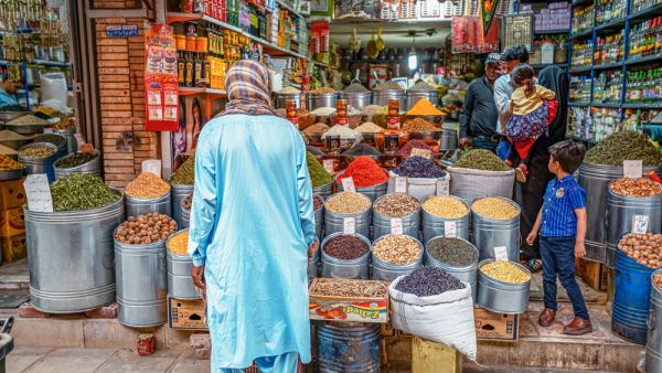 Kerman, Kerman Province Iran (Shutterstock)