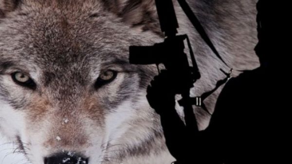  إزالة جميع المحتويات من كتيبات توضيحية أو رقمية تستخدم لتخطيط وتنفيذ الهجمات الإرهابية