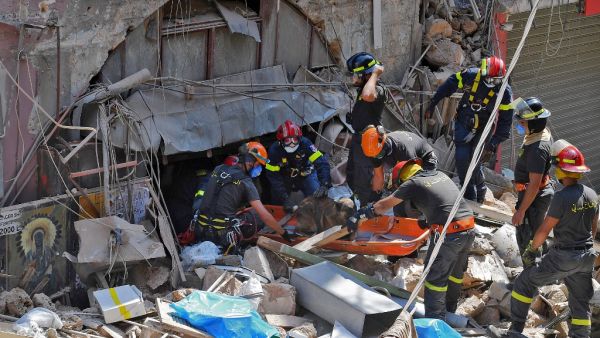 Members of the Lebanese civil defence use a dog to search for victims and survivors under the rubble of a building in the Gemayzeh neighbourhood on August 6, 2020, two days after a massive explosion in the Beirut port shook the capital. The blast caused massive destruction and killed at least 113 people, heaping misery on a country in crisis. AFP