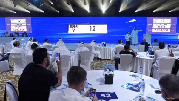 V12 الأعلى سعرًا